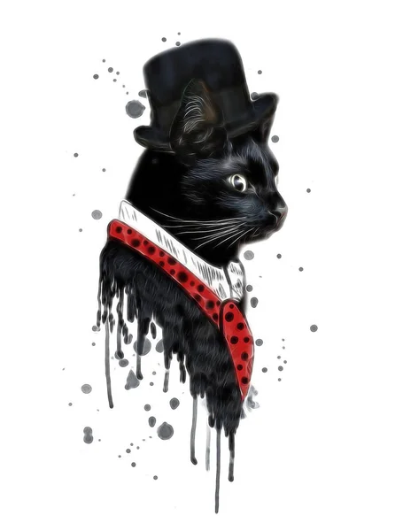 Fekete macska a hat — Stock Fotó