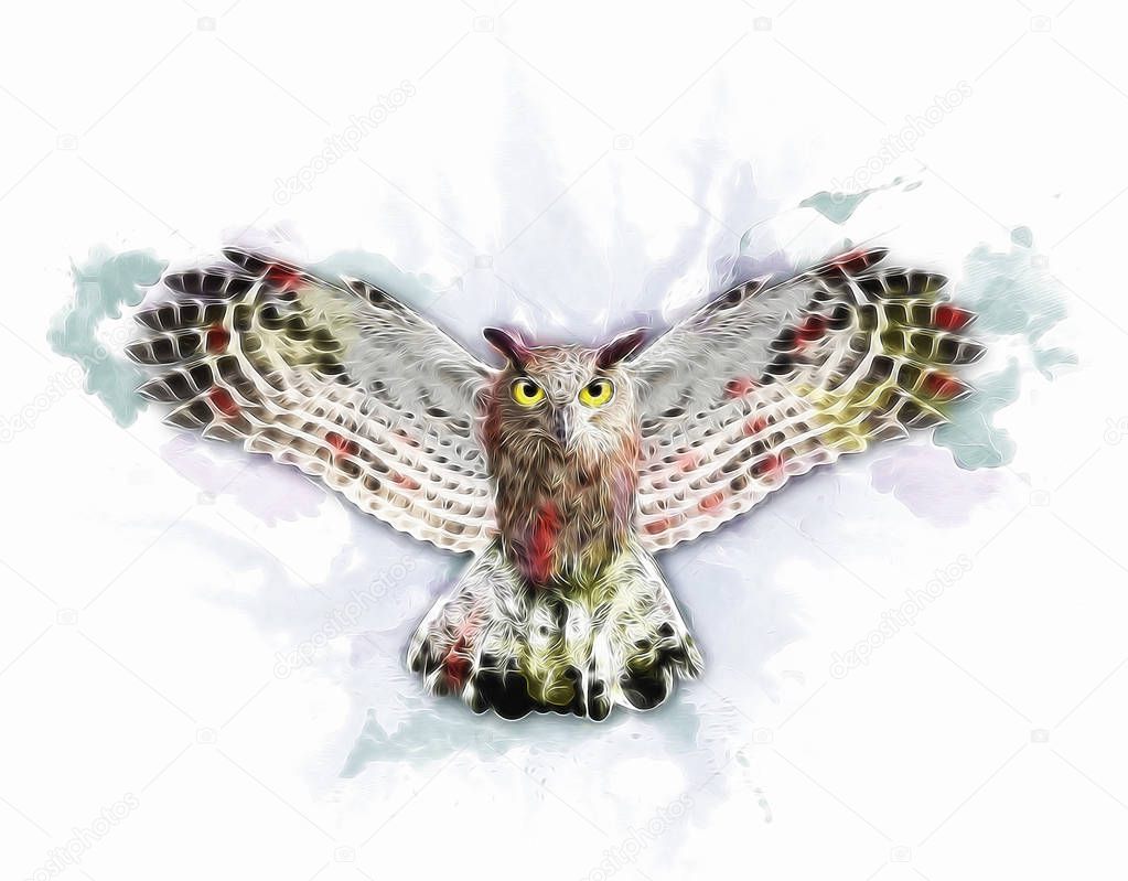 Watercolor owl print