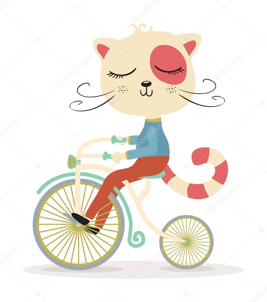 Adorable cat on bicycle