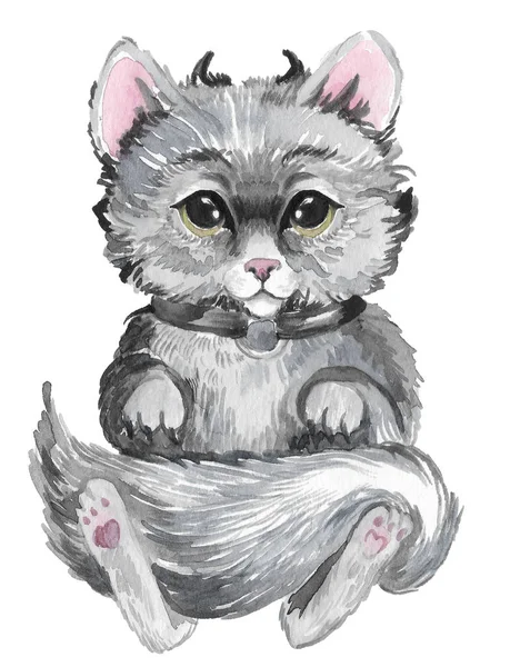 Niedliche Katze in Aquarell gemalt — Stockfoto