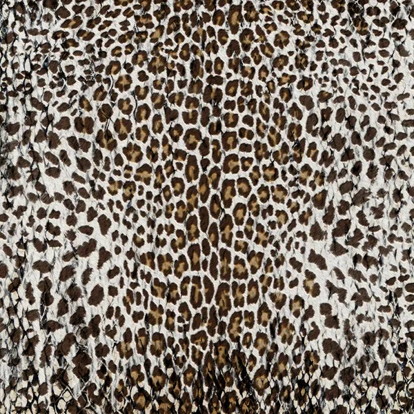Abstrakte sich wiederholende Tiermuster. Leopard — Stockfoto