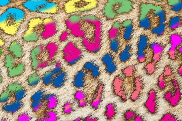 Vintage Barok baskı desen 