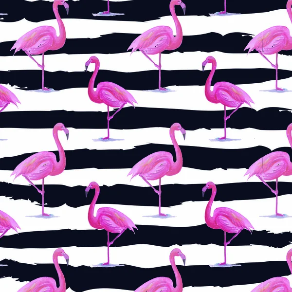 Flamingo deseni zebra arka plan 