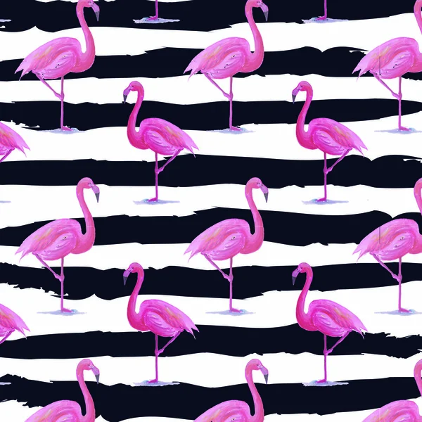 Фон зебры фламинго Лицензионные Стоковые Изображения