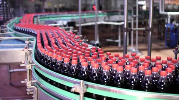 Línea Producción Para Botellas Embotellado — Vídeos de Stock