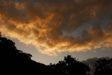 Altın bulutlar ve karanlık ağaçlar