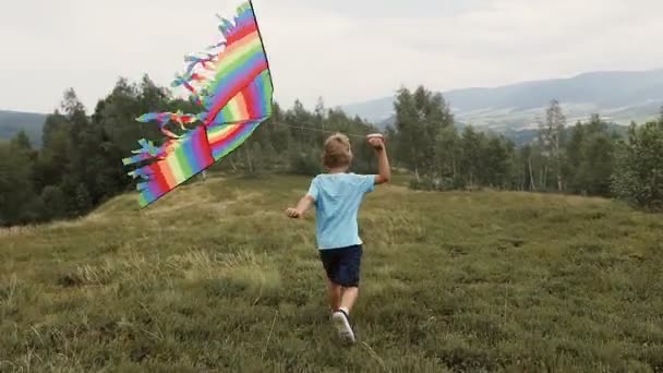 Мальчик бежит и запускает змею в горы — стоковое видео