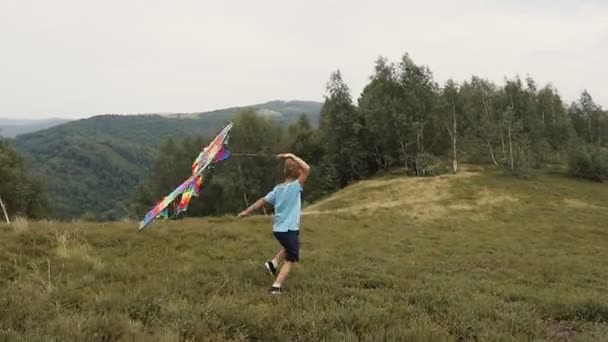 Der Junge rennt und löst eine Schlange in den Bergen aus — Stockvideo