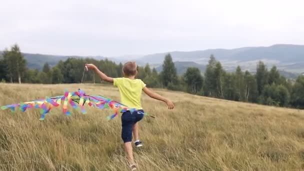 Der Junge rennt und löst eine Schlange in den Bergen aus — Stockvideo