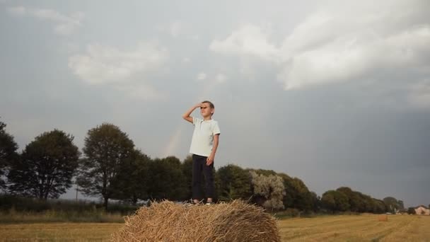 Niño y fardos de heno en el campo. Actividades de verano para niños. Una pila de heno. Paja en el prado. Niño en el heno — Vídeos de Stock