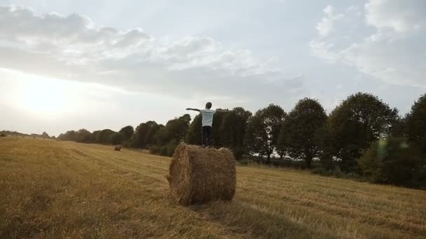 Auf einem Feld auf einem Heuhaufen steht ein Junge und blickt in den Sonnenuntergang — Stockvideo