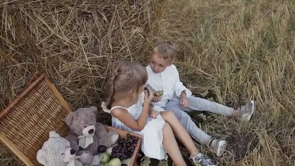 Двоє маленьких дітей грають у полі і їдять фрукти. — стокове відео