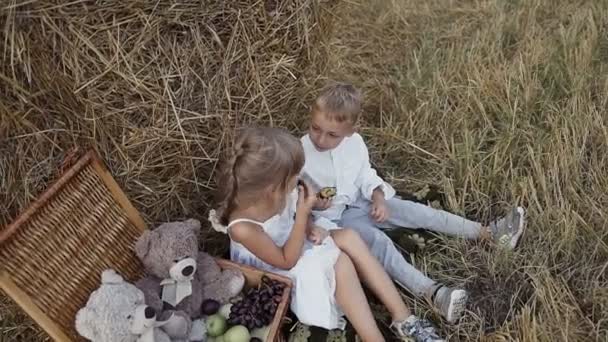 Due bambini piccoli giocano nel campo e mangiano frutta.Punte di paglia nel campo — Video Stock