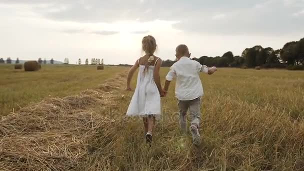 Маленький мальчик и девочка после дождя взяли за руки красивый бег по полю — стоковое видео