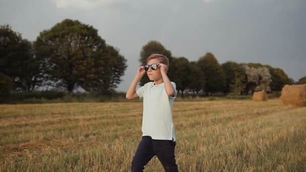 Un niño en el campo. Un niño con sus gafas mira la puesta de sol — Vídeos de Stock