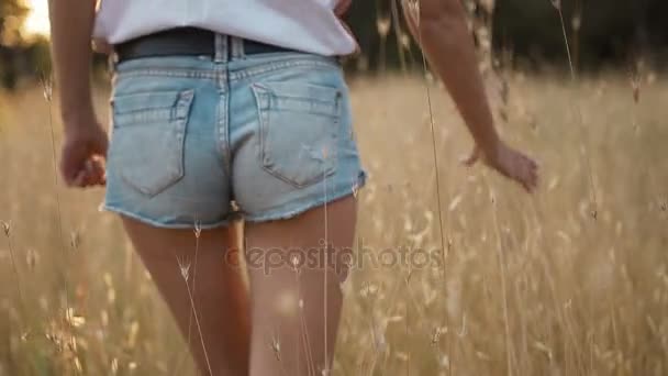 Een jonge vrouw in korte shorts in de zonsondergang gaat op een tarwe veld en handvatten tarwe — Stockvideo