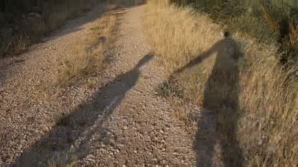 Silhouet van de schaduw van twee mensen in het park, zoals een vader en zoon in de zonsondergang handen houdt — Stockvideo