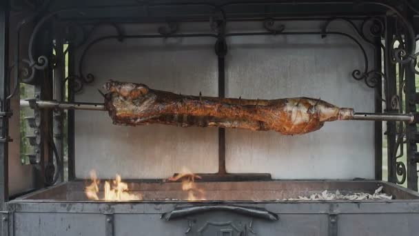 Close-up. Varken roosteren op de spit, barbecue, grill — Stockvideo