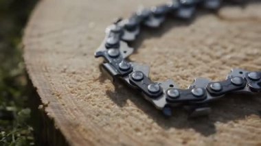 Zincirli Ağaç kesme testereleri zincirinin bir güdük parkta yatıyor