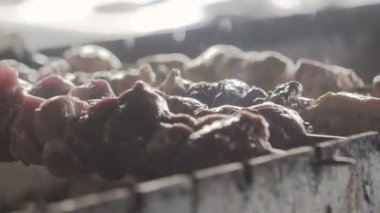 Portre. Geleneksel şiş kebap. Kızarmış domuz eti ızgara. Lezzetli ızgara et