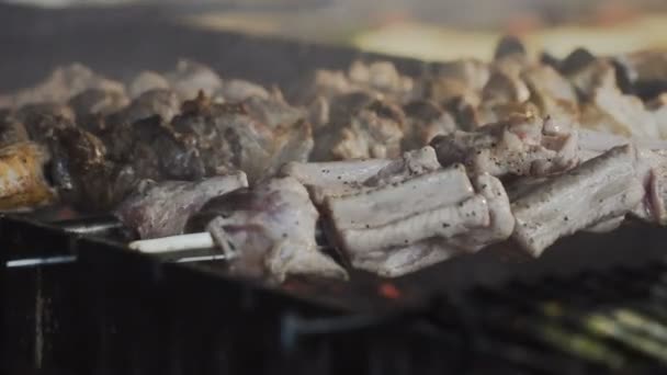 Дым поднимается над жареным мясом на шампурах на углях. Мясо на гриле — стоковое видео
