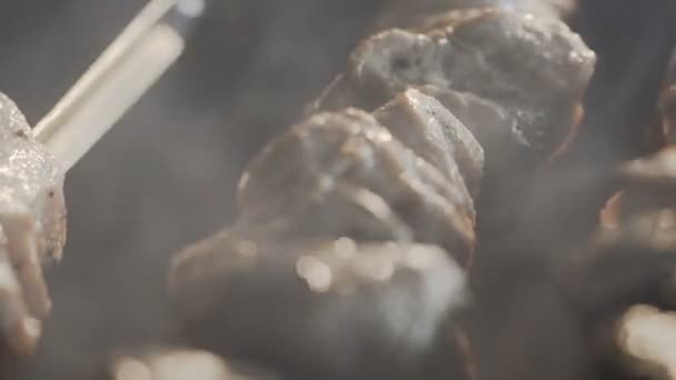 Close-up. Meat skewers on the barbecue coals — Stock Video