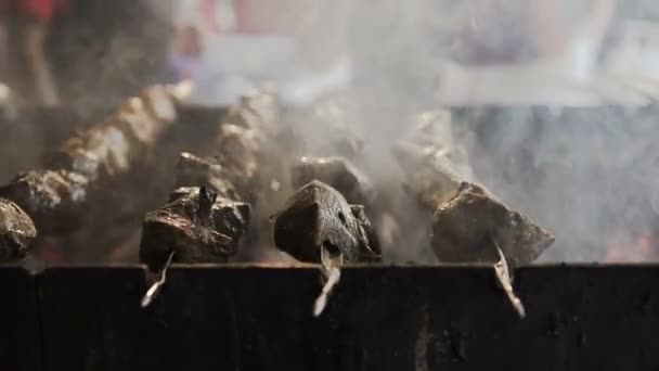 Churrasco, Bar-B-Q, Cheira, comida cozinhando espetos com carne Kebab na bobina — Vídeo de Stock