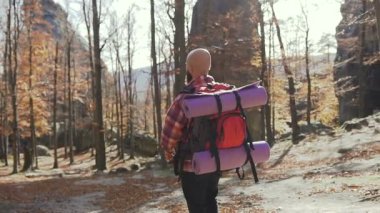 Bir sırt çantası ile ormanda onun omuzlarında yürüyen genç adam. Adam Avrupa'da sonbahar sezonunda yayılıyor.