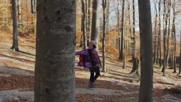 Um homem com uma mochila nos ombros desce de um alto caminho de montanha. Folhas amarelas caem das árvores. Outono dourado — Vídeo de Stock