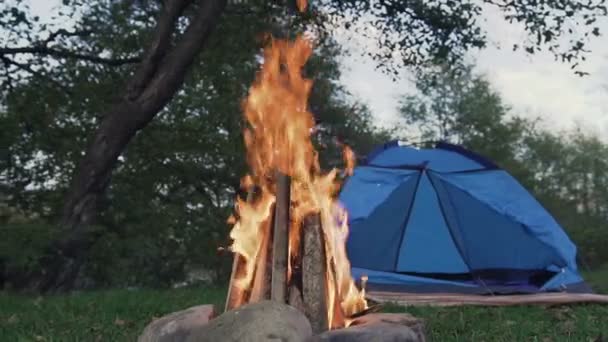 Fogata y tienda de campaña turística en el bosque junto al río — Vídeo de stock