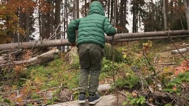 En ung pojke går med en träpinne i handen i en bergskog på den soliga dagen. En vandrare som klädd i en grön jacka med huva promenader i skogen höst — Stockvideo
