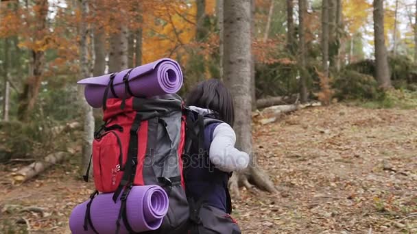 Ung flicka-turist på en promenad i skogen tar bort en röd ryggsäck från hans axlar och anger för att vila. Höstdag — Stockvideo