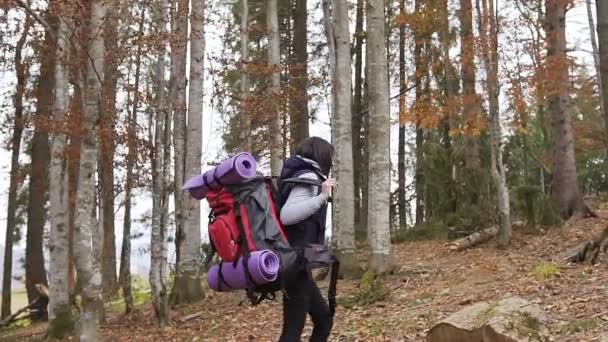 La muchacha joven - el turista que pasea por el bosque con la mochila roja y el carimato violeta atado se sienta a descansar sobre el tocón de madera. Concepto de bosque otoñal — Vídeos de Stock