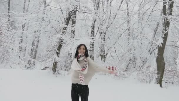 Schönes junges Mädchen mit dunklen Haaren im Strickpullover mit Schal und Strickhandschuhen spaziert bei Schneefall im Winterwald — Stockvideo