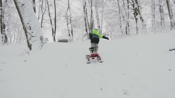 Un petit garçon marchant en traîneaux jusqu'à une colline dans une forêt gelée enneigée — Video