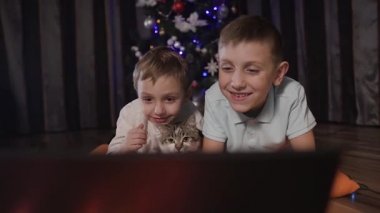 -Bulanık bir Noel ağacı arka plan üzerinde yakın, iki kardeş ve onların küçük kedi Oda katta yatan ve ilginç bir sosyal aracılığıyla laptop bir şey bakarak