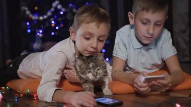 İki genç adamlardan yerdeki evde portakal yastık ile onların kedi yatan ve iskambil spor içinde onların telefon yakın çekim. Noel, yeni yıl, akşam, kış
