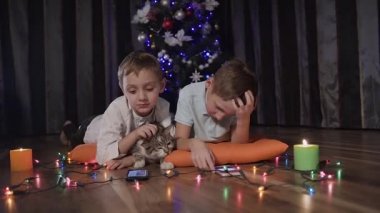 Binmek tarafından kamera - iki adam turuncu dekoratif yastıklar onların kedi ile birlikte Noel ağacı yakınındaki odasında yerde yatan ve iskambil online spor üstünde onların telefon