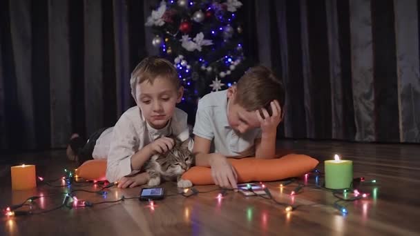 Passeio pela câmera - dois caras estão deitados em almofadas laranja decorativas no chão na sala perto da árvore de Natal, juntamente com seu gato e jogar jogos on-line em seus telefones — Vídeo de Stock