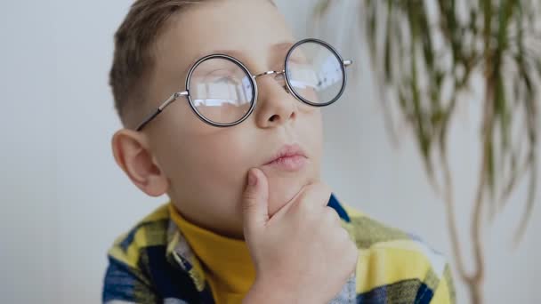 Expressive petit enfant de 7-8 ans avec un beau sourire et les yeux bleus avec des lunettes pense à une idée intéressante, levant les yeux avec un visage intelligent et tient sa barbe avec sa main, blanc — Video