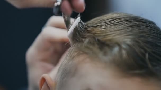 The hairdresser is cutting the boys hair in the barbershop. Professional hairdresser cut child hair in barbershop.Boy five years old in barbershop. Cute little boy in beauty salon — Stock Video
