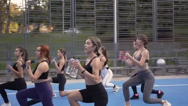 Jonge mooie fitness vrouwen doen trainingsoefeningen met halters om de spieren van het lichaam buiten te versterken — Stockvideo