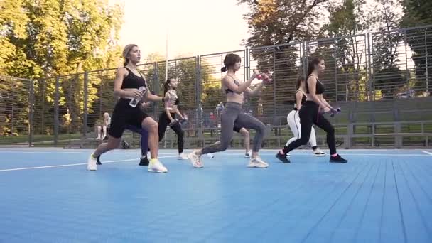 Πλευρική άποψη της γυναικείας ομάδας γυμναστικής που κάνει ασκήσεις με αλτήρες στα χέρια σε εξωτερικούς χώρους κατά τη διάρκεια της ημέρας — Αρχείο Βίντεο
