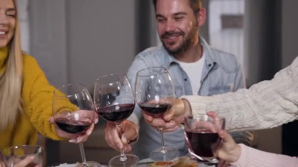 Beautiful relatives clinking glasses with wine and juice while celebraring Thanksgiving day — Stock Video