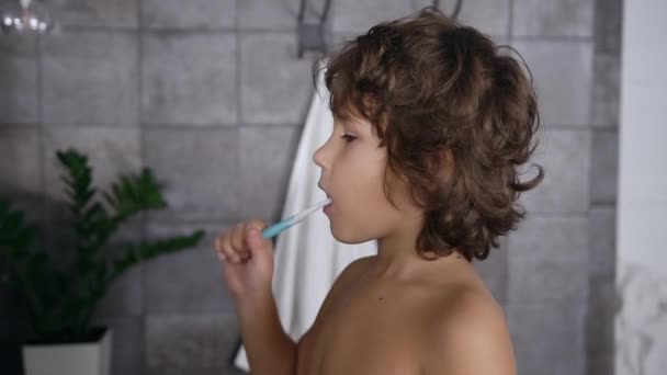 Vista lateral del encantador niño moreno que limpia sus dientes usando cepillo de dientes en el baño — Vídeos de Stock