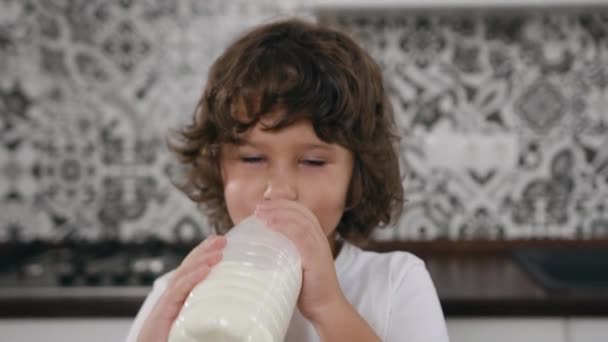 Petit garçon attrayant avec des cheveux bouclés buvant du lait de la bouteille et regardant la caméra avec un sourire mignon — Video