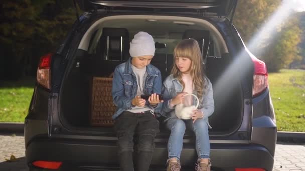 Agréable sourire adolescent frère et soeur assis dans le coffre des voitures et en utilisant le téléphone — Video