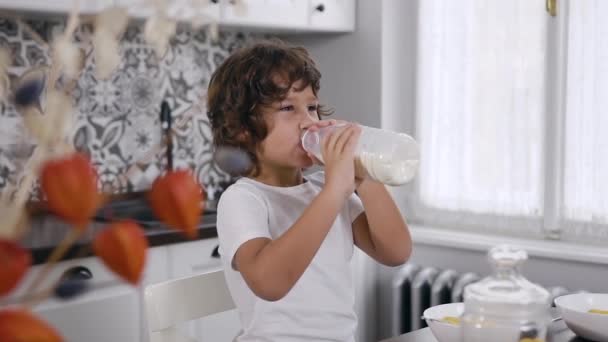 Knap en schattig jongetje dat aan de keukentafel zit en melk drinkt in de thuiskeuken. Ontbijt, gezond eten en mensen concept — Stockvideo