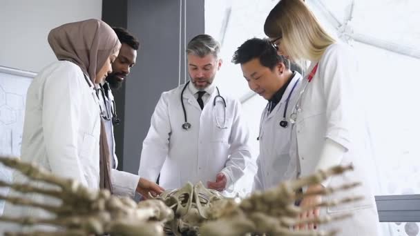 Медичні студенти та професор медичного одягу, які вивчають анатомію скелета людини на лекціях хірургії в легкому офісі в лікарні — стокове відео
