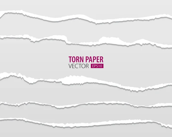 Yırtık kağıt delikleri. Ağ ve yazdırma için saydam bir arkaplan üzerinde kağıt sayfasında delik.